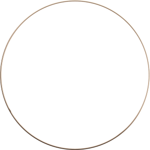 Black Sphere with Gold circular accent