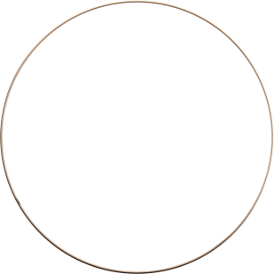 Simple thin circular outline graphic.