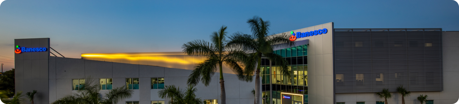 news-releases-banner