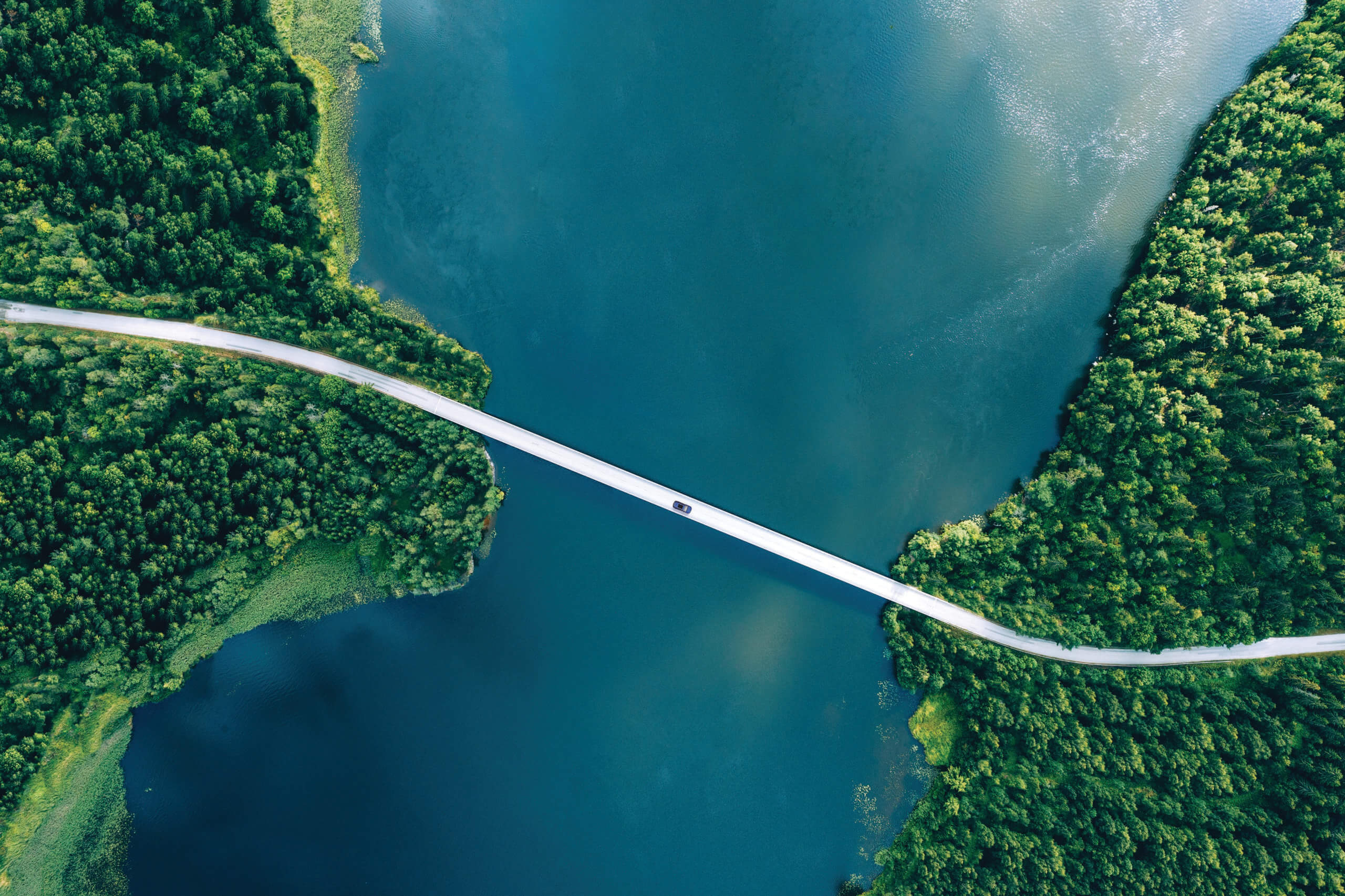 aerial-bridge-over-water-forest